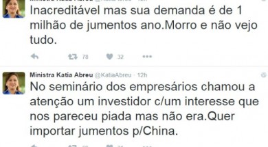 Ministra usou sua conta no Twitter para comentar pedido excêntrico de investidor chinês