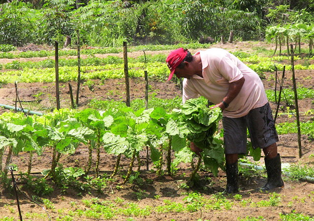 Agricultura