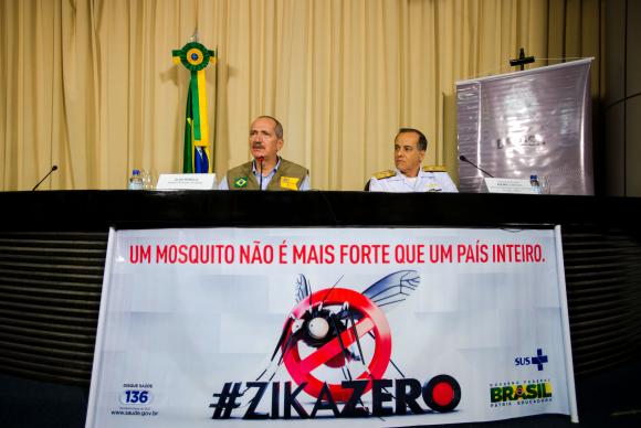 aedes2