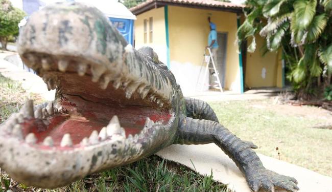 zoologico-de-salvador-jacare