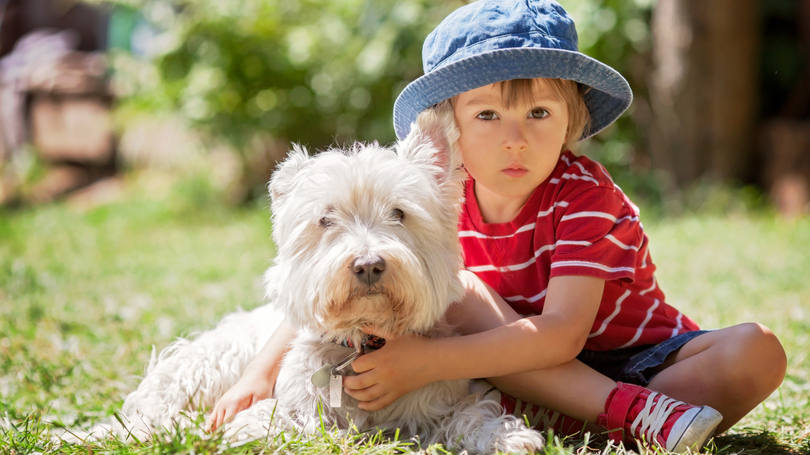 crianca-com-cachorro