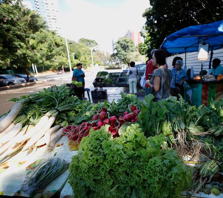 A feira do Parque da Cidade é organizada pela Associação de Produtores Orgânicos e Feirantes ( Apof) e acontece todas as quintas-feiras