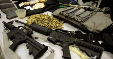 Três anos após flexibilização, Brasil chega a 46 milhões de permissões para compra de armas por civis