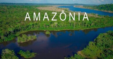 Viagem de Lula à Amazônia terá ato simbólico com povos da floresta em oposição a Bolsonaro